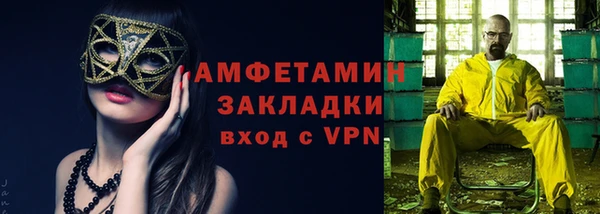 мет Алексин
