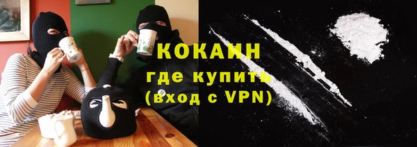 мет Алексин