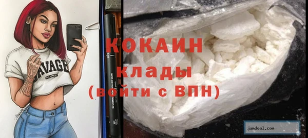 PSILOCYBIN Новодвинск