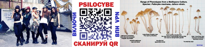 Псилоцибиновые грибы ЛСД Нижняя Тура