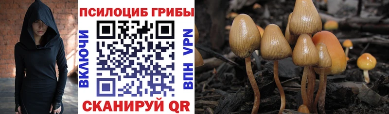 Псилоцибиновые грибы GOLDEN TEACHER  цена наркотик  Нижняя Тура 